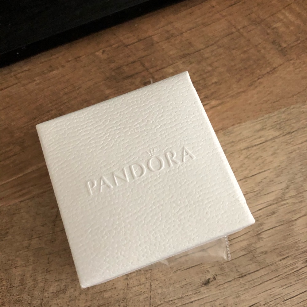Brand New Pandora Locket Element
